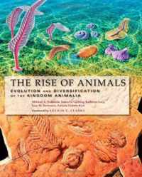 The Rise of Animals  Evolution and Diversification of the Kingdom Animalia