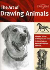 The Art of Drawing Animals