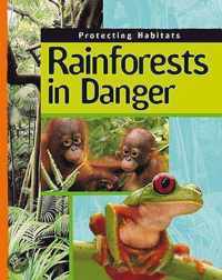 Rainforests In Danger