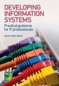 Developing Information Systems