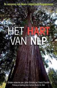 Het hart van NLP