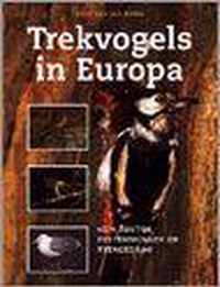 Trekvogels in Europa