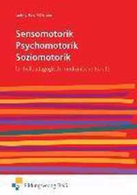 Sensomotorik - Psychomotorik - Soziomotorik