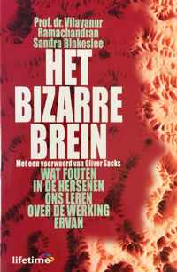 Bizarre Brein