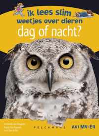 Dag of nacht? Ik lees slim - weetjes over dieren