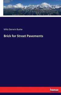 Brick for Street Pavements