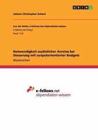 Notwendigkeit zusatzlicher Anreize bei Steuerung mit outputorientierter Budgets