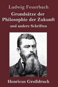 Grundsatze der Philosophie der Zukunft (Grossdruck)