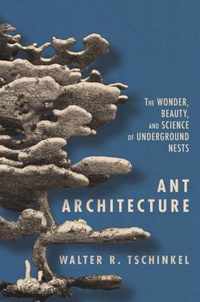 Ant Architecture