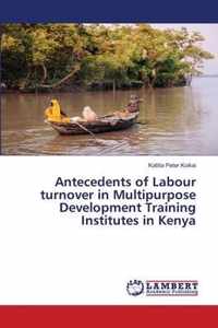 Antecedents of Labour turnover in Multipurpose Development Training Institutes in Kenya