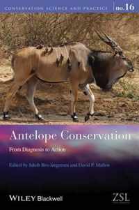 Antelope Conservation