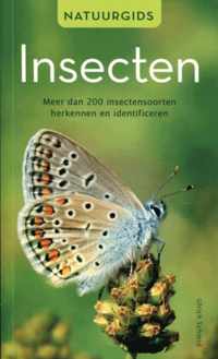 Natuurgids insecten