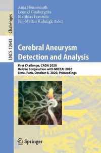 Cerebral Aneurysm Detection and Analysis