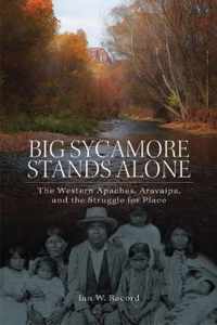 Big Sycamore Stands Alone