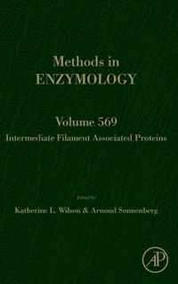 Intermediate Filament Associated Proteins