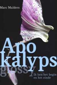 Apokalyps