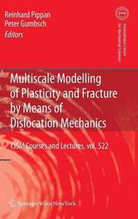 Multiscale Modelling of Plasticity and Fracture by Means of Dislocation Mechanics