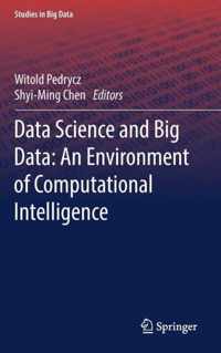 Data Science and Big Data: An Environment of Computational Intelligence