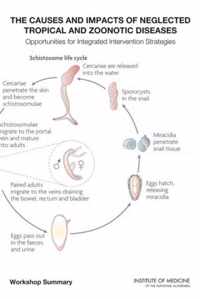 The Causes and Impacts of Neglected Tropical and Zoonotic Diseases