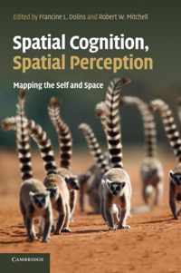 Spatial Cognition, Spatial Perception