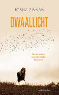 Dwaallicht