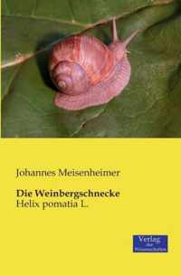 Die Weinbergschnecke