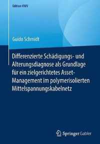 Differenzierte Schaedigungs und Alterungsdiagnose als Grundlage fuer ein zielge