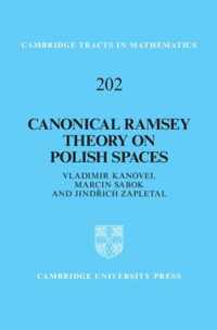 Canonical Ramsey Theory On Polish Spaces