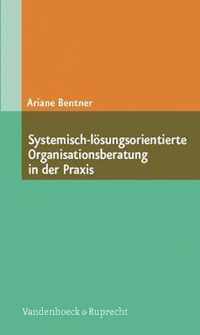 Systemisch-losungsorientierte Organisationsberatung in Der Praxis