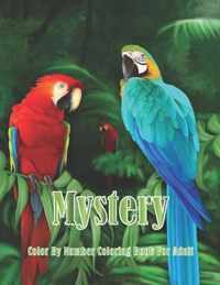 Mystery Color By Number Coloring Book For Adult