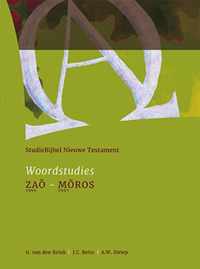 Studiebijbel NT13 1996 Zao  2985 Moros