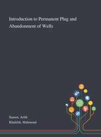 Introduction to Permanent Plug and Abandonment of Wells