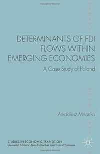 Determinants of FDI Flows Within Emerging Economies