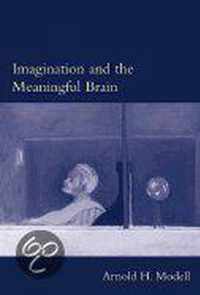 Imagination and the Meaningful Brain