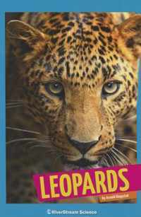 Leopards