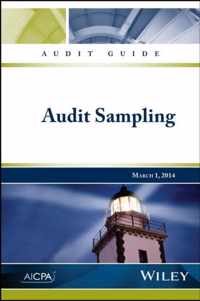 Audit Guide