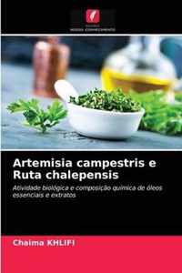 Artemisia campestris e Ruta chalepensis