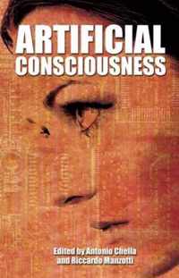 Artificial Consciousness