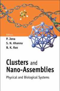 Clusters And Nano-assemblies