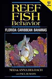 Reef Fish Behavior