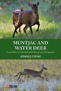 Muntjac and Water Deer