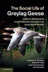 The Social Life of Greylag Geese