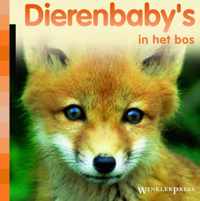 Wp Dierenbaby S In Het Bos