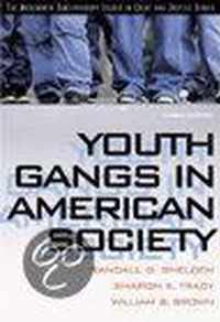 Youth Gangs In American Society