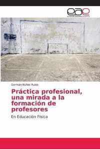 Practica profesional, una mirada a la formacion de profesores