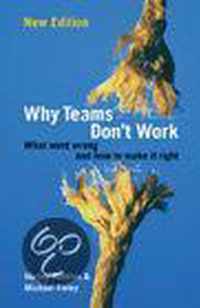 Why Teams Don't Work