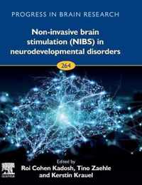 Non-invasive Brain Stimulation (NIBS) in Neurodevelopmental Disorders