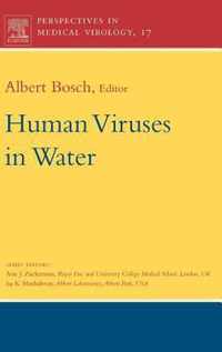 Human Viruses In Water