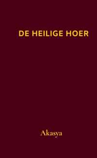 De Heilige Hoer - Ak Asya - Paperback (9789464185966)