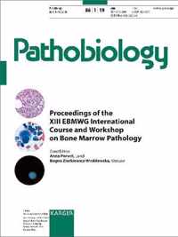 Bone Marrow Pathology: 13th EBMWG International Course and Workshop, Utrecht, May 2017: Proceedings. Special Topic Issue